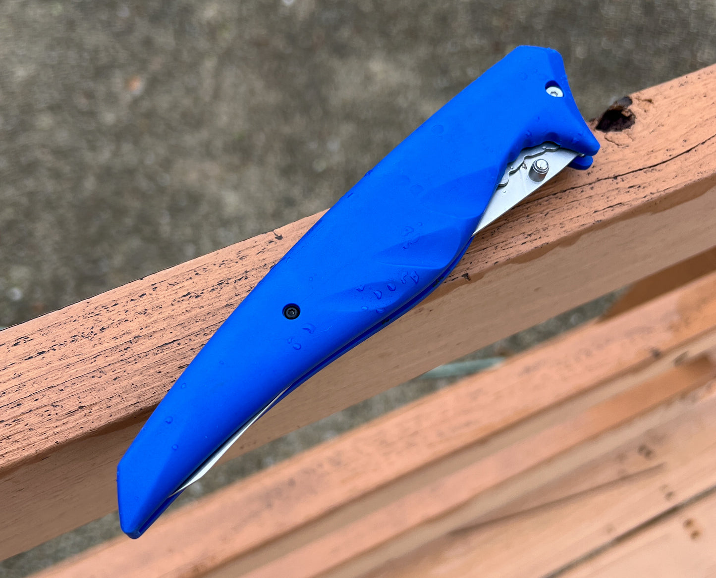 Folding Fillet/Boat Knife