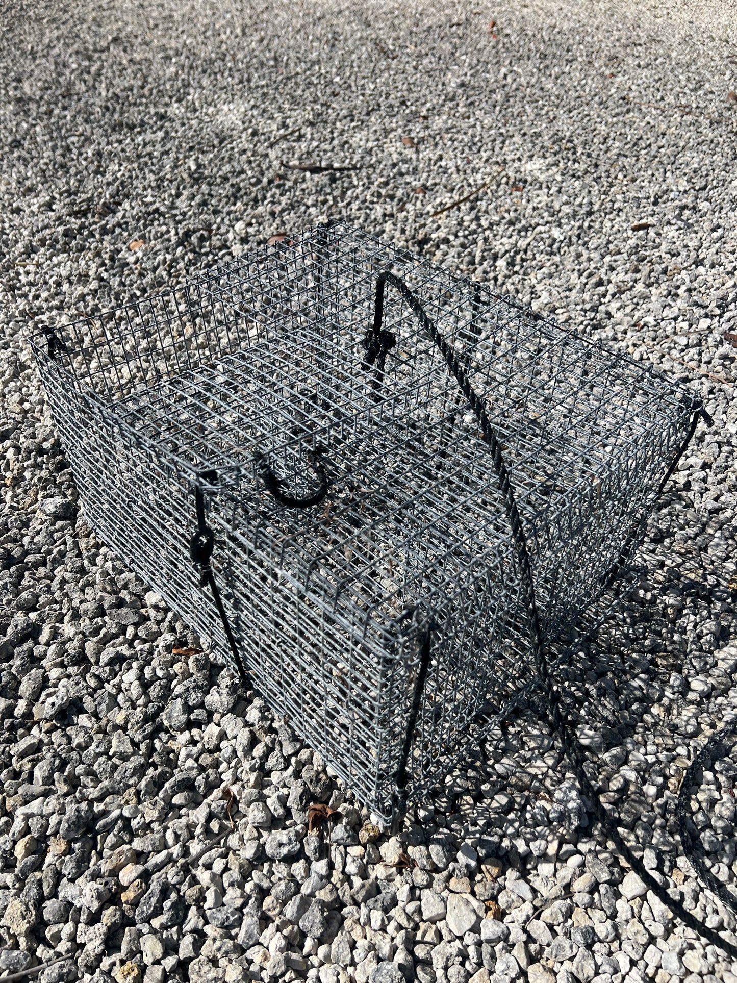 Folding Pinfish Trap - Collapsible