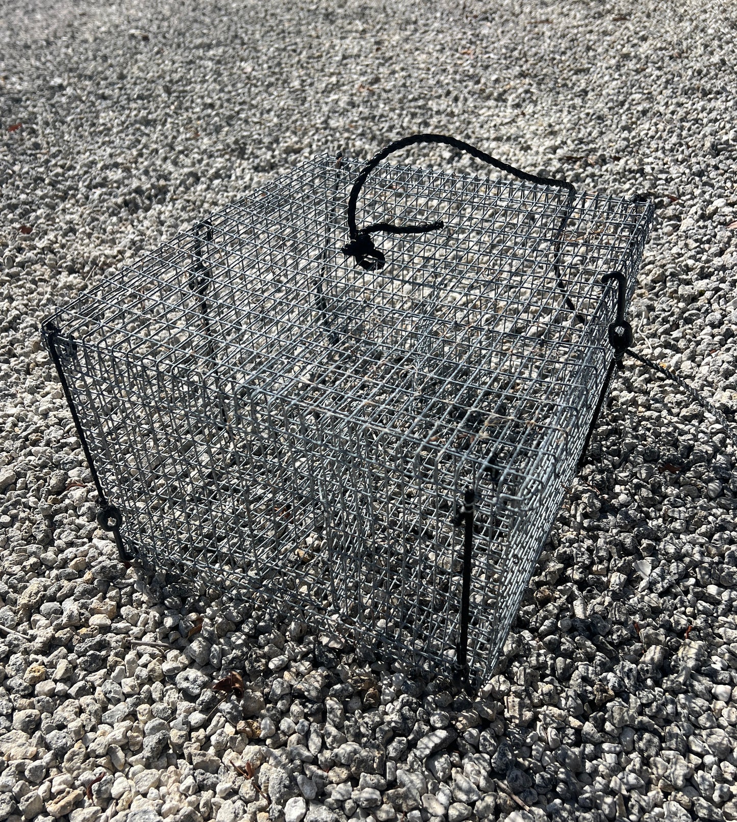 Folding Pinfish Trap - Collapsible