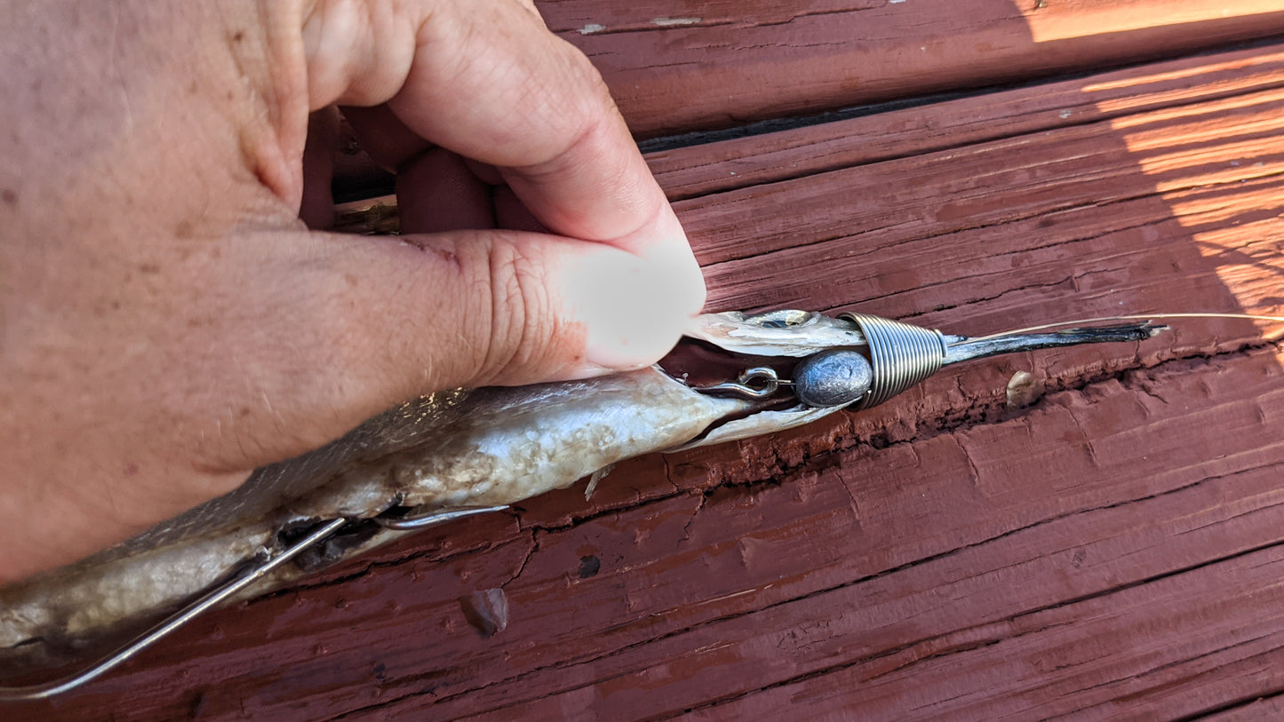 Ballyhoo Rigs (2pk)