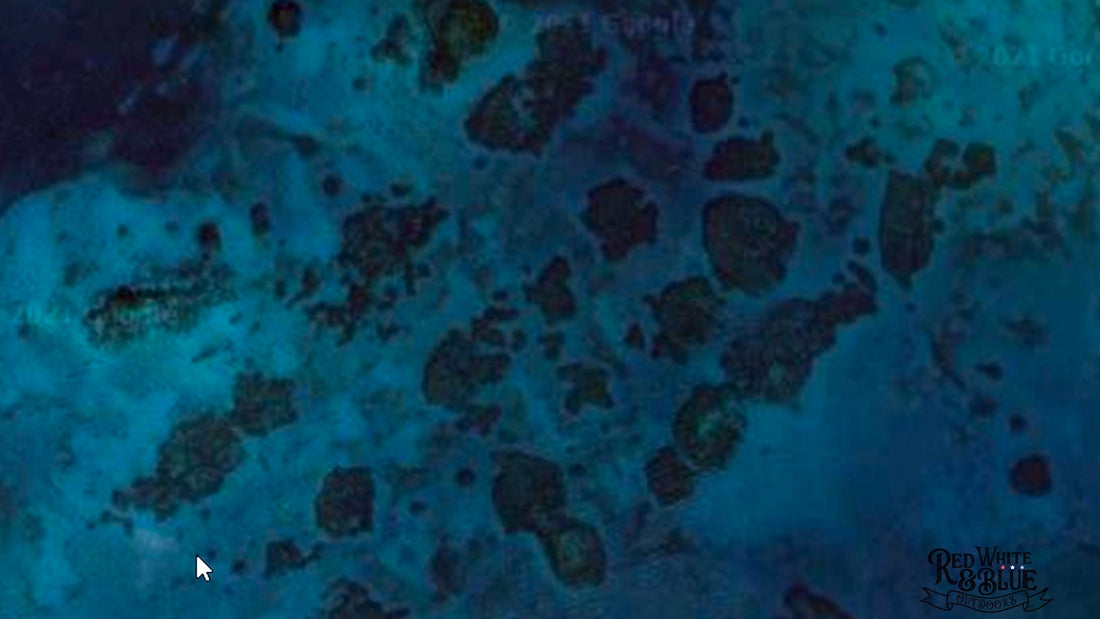 How to Patch Reef fish in the Florida Keys