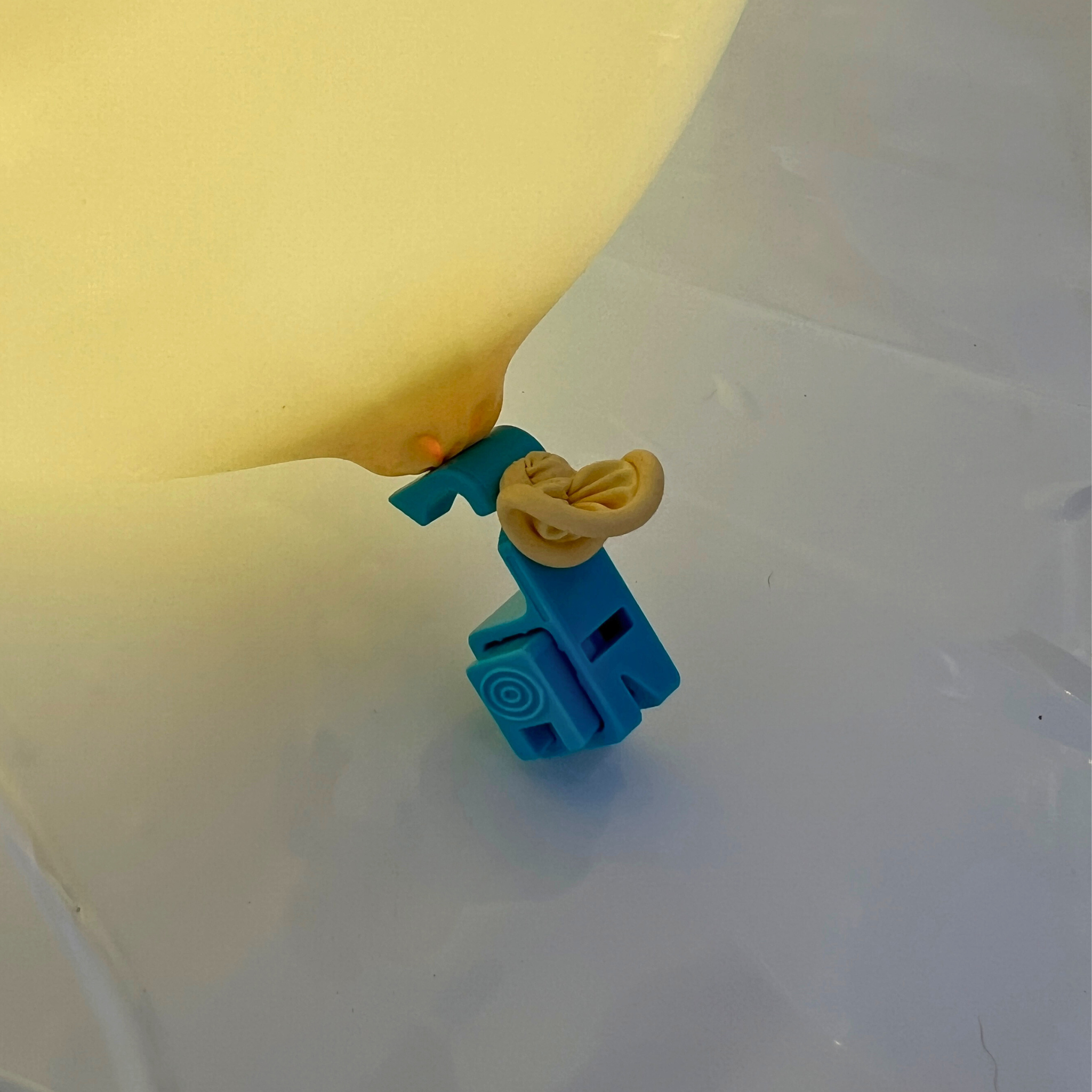 Fishing Balloons (20pk)