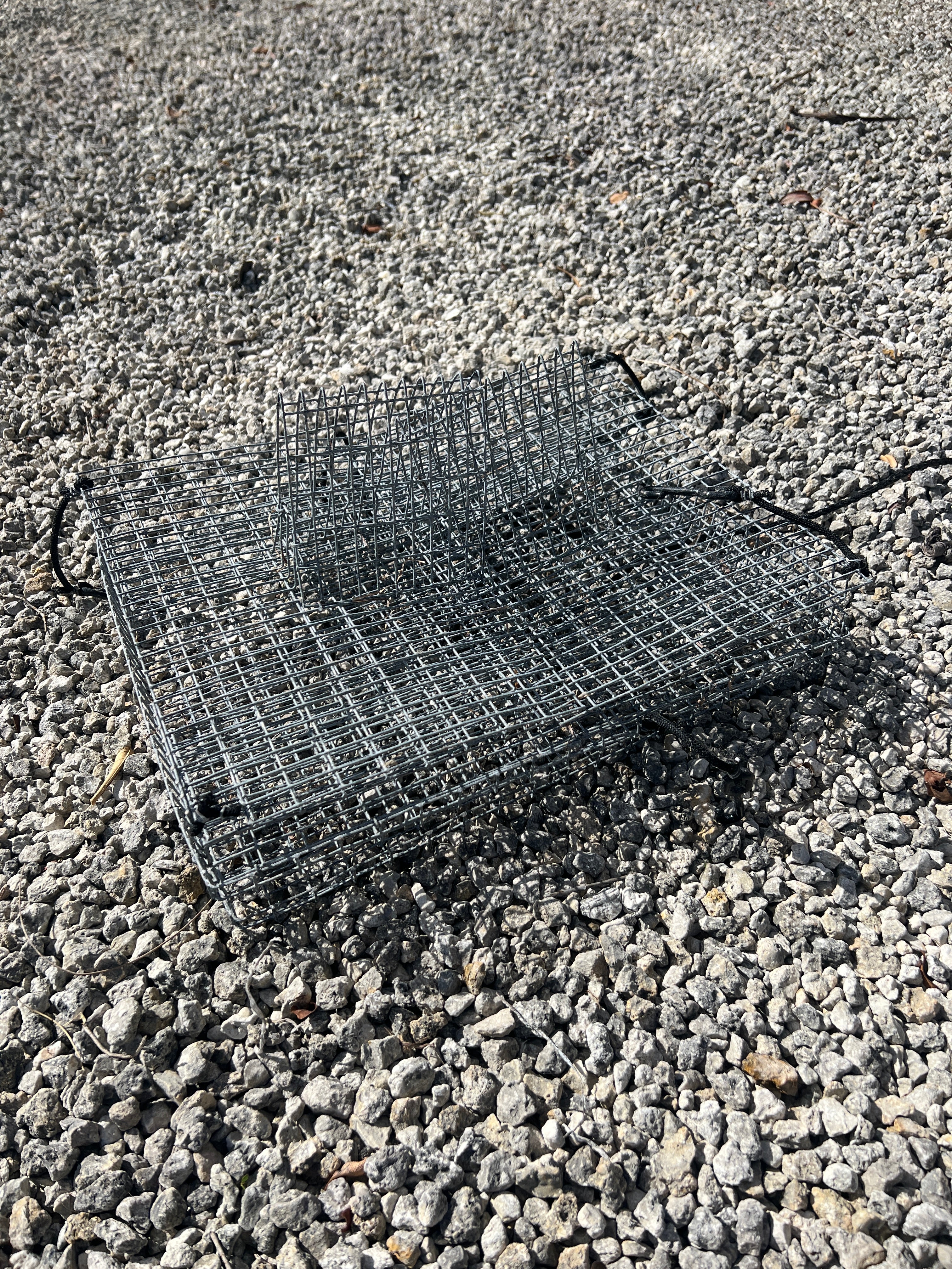 Folding Pinfish Trap - Collapsible