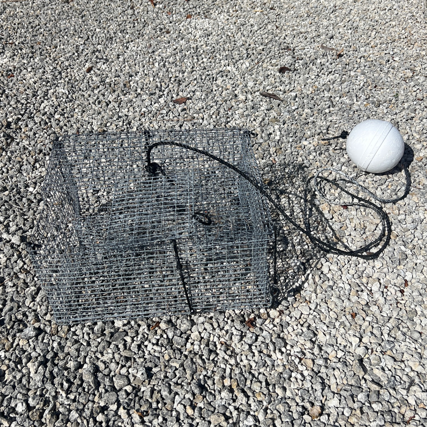 Folding Pinfish Trap - Collapsible