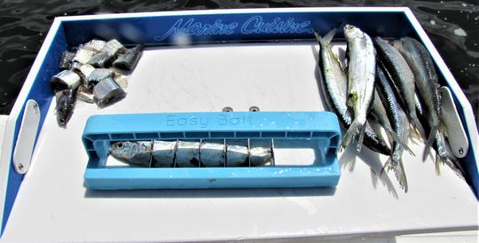 Bait Cutter (Easy Bait Co)