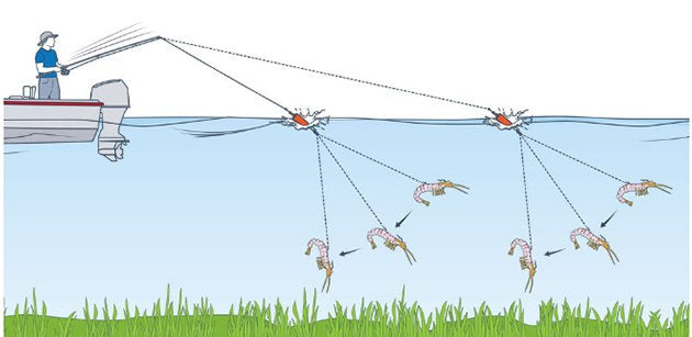 Mini Popping Corks (3pk)